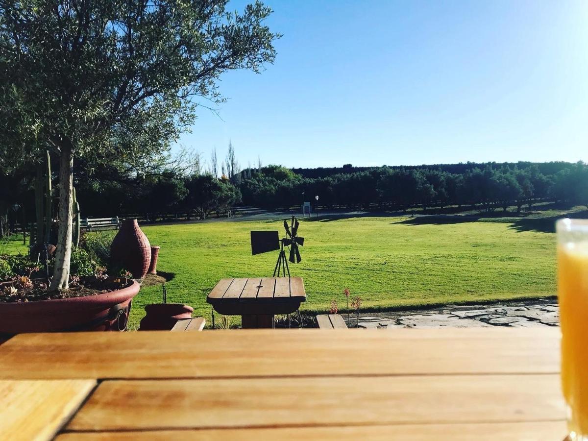 Olive Grove Guest Farm Beaufort West Exterior foto