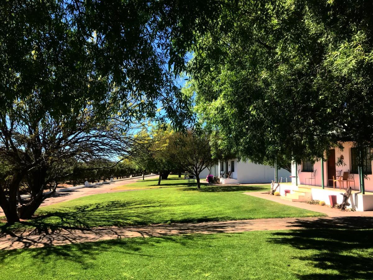 Olive Grove Guest Farm Beaufort West Exterior foto