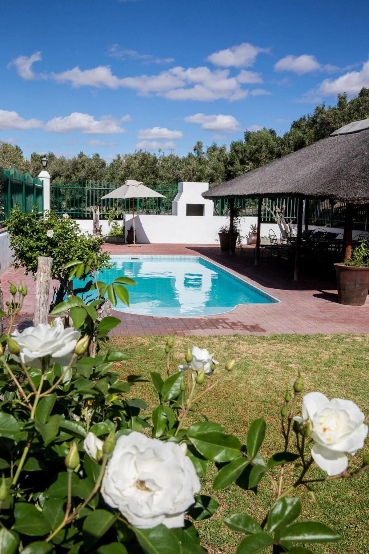 Olive Grove Guest Farm Beaufort West Exterior foto